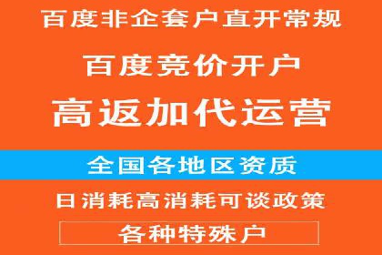 成功案例解析：SEM托管公司服务优势